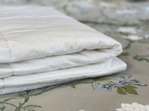 Одеяло Cotton Bio Comfort light
